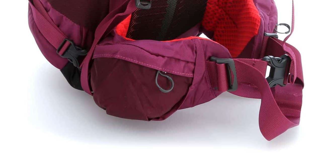 hip belt pocket for osprey exos