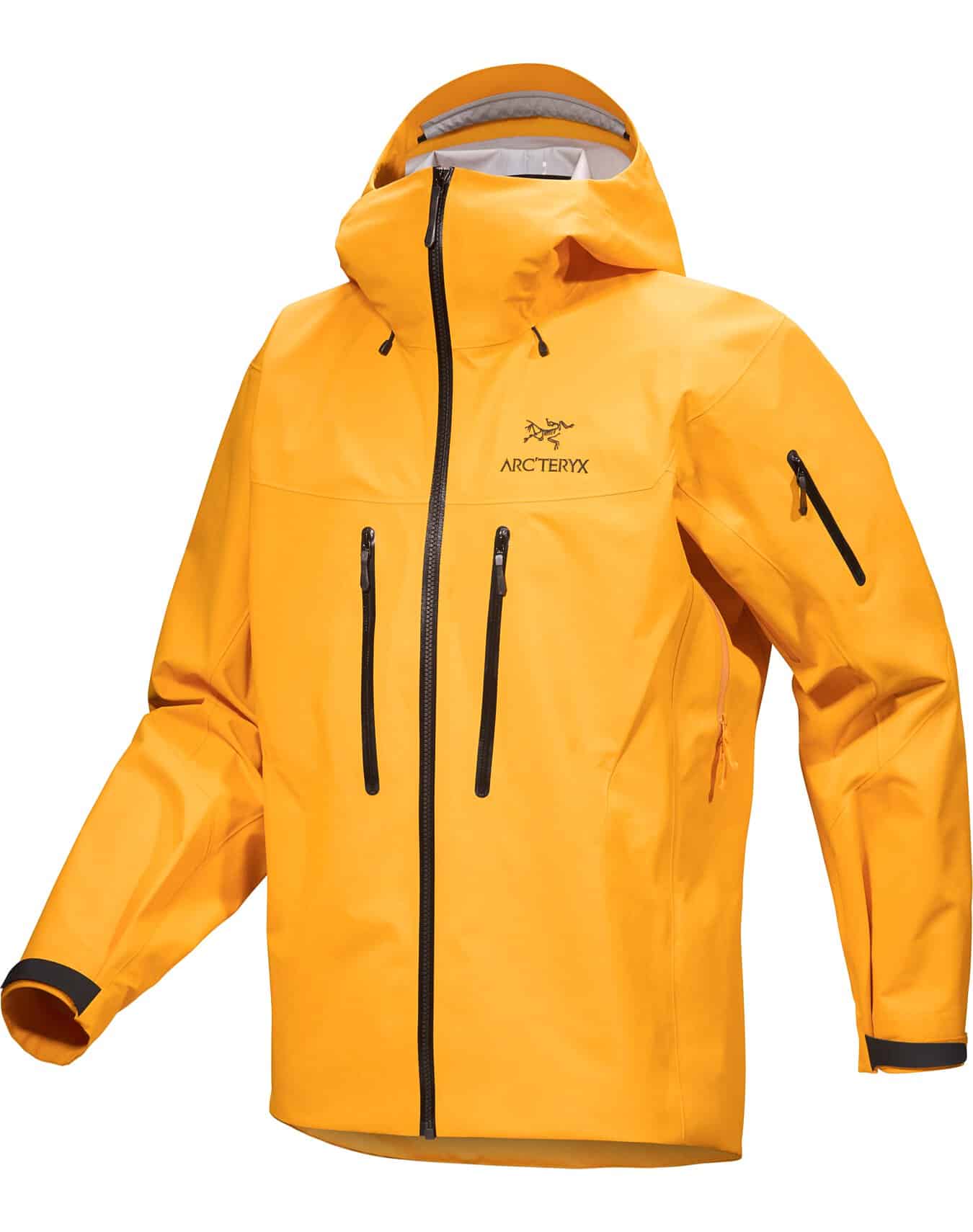 Arc'teryx Alpha SV Jacket Men's in Edziza color