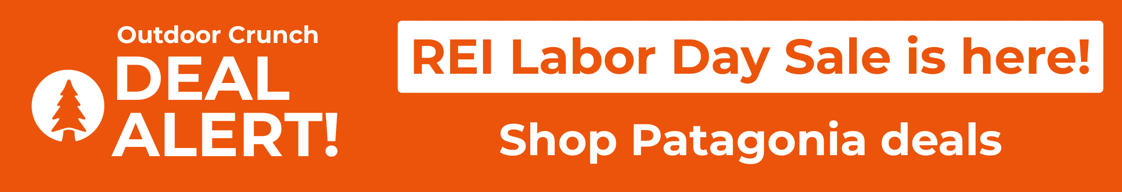 REI Labor Day banner Patagonia desktop