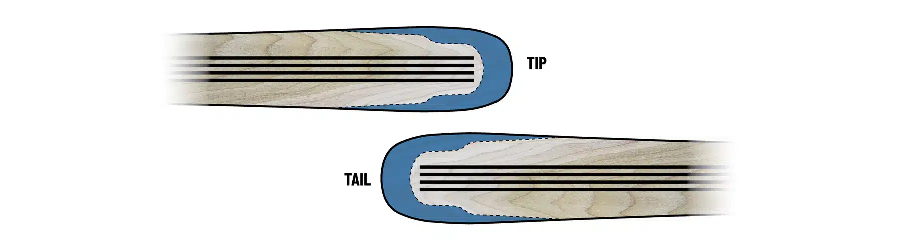 A diagram showing the flycap construction of the Icelantic Nomad and Maiden freeride skis.