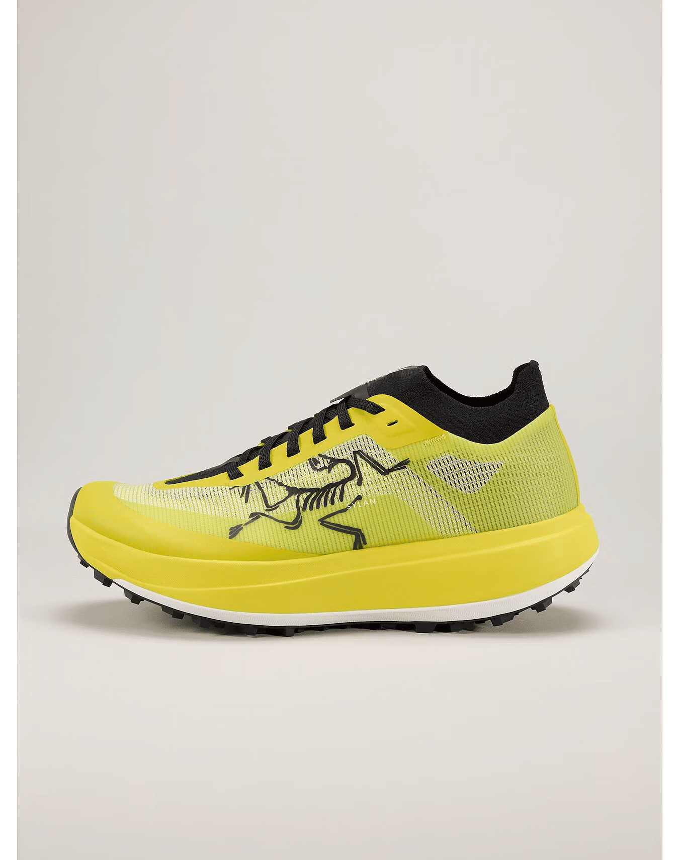 Arcteryx Sylvan Pro women's trail running shoe profile image