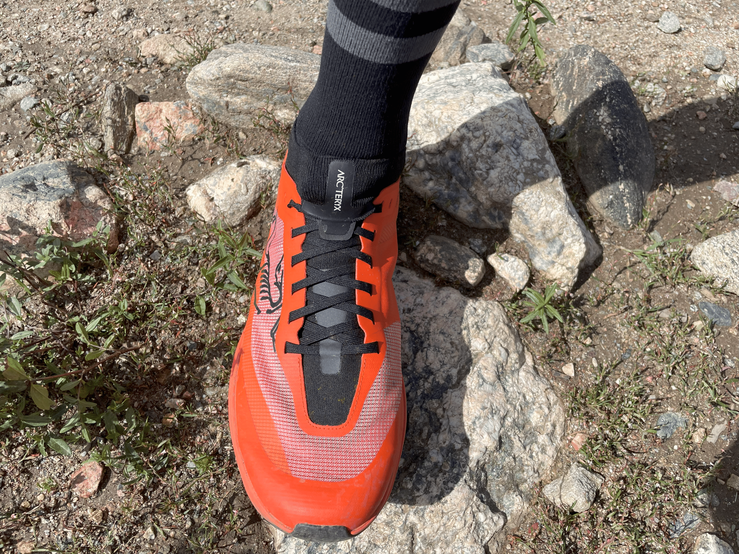 Overhead image of the Sylvan Pro Arc'teryx shoes