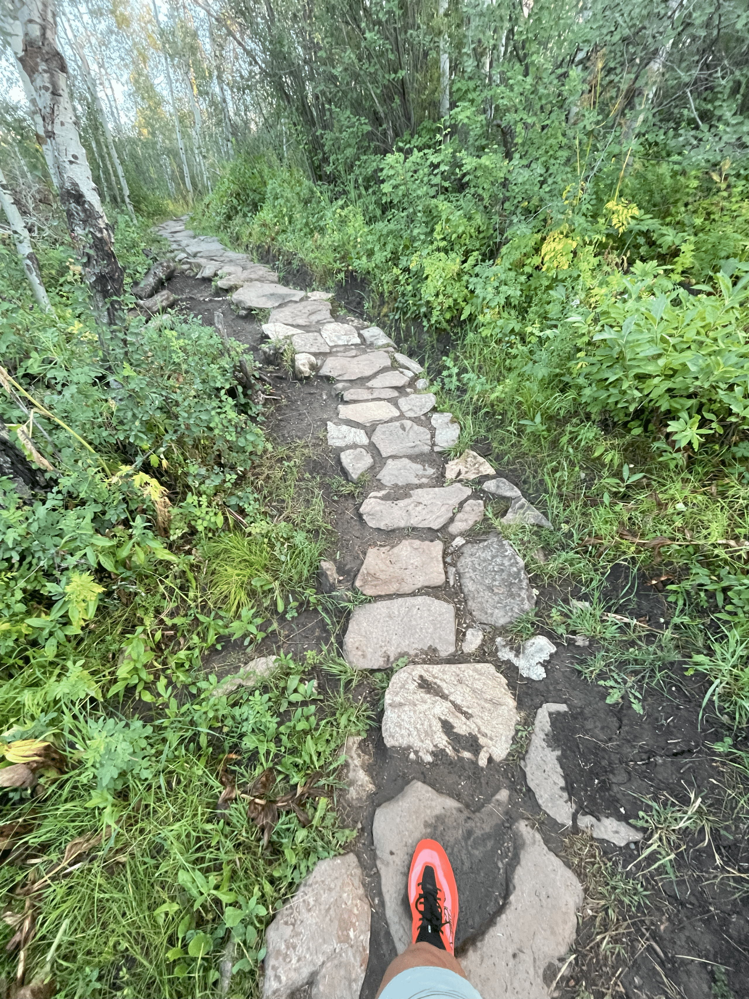 Arcteryx Sylvan Pro shoe shown on a rock path.
