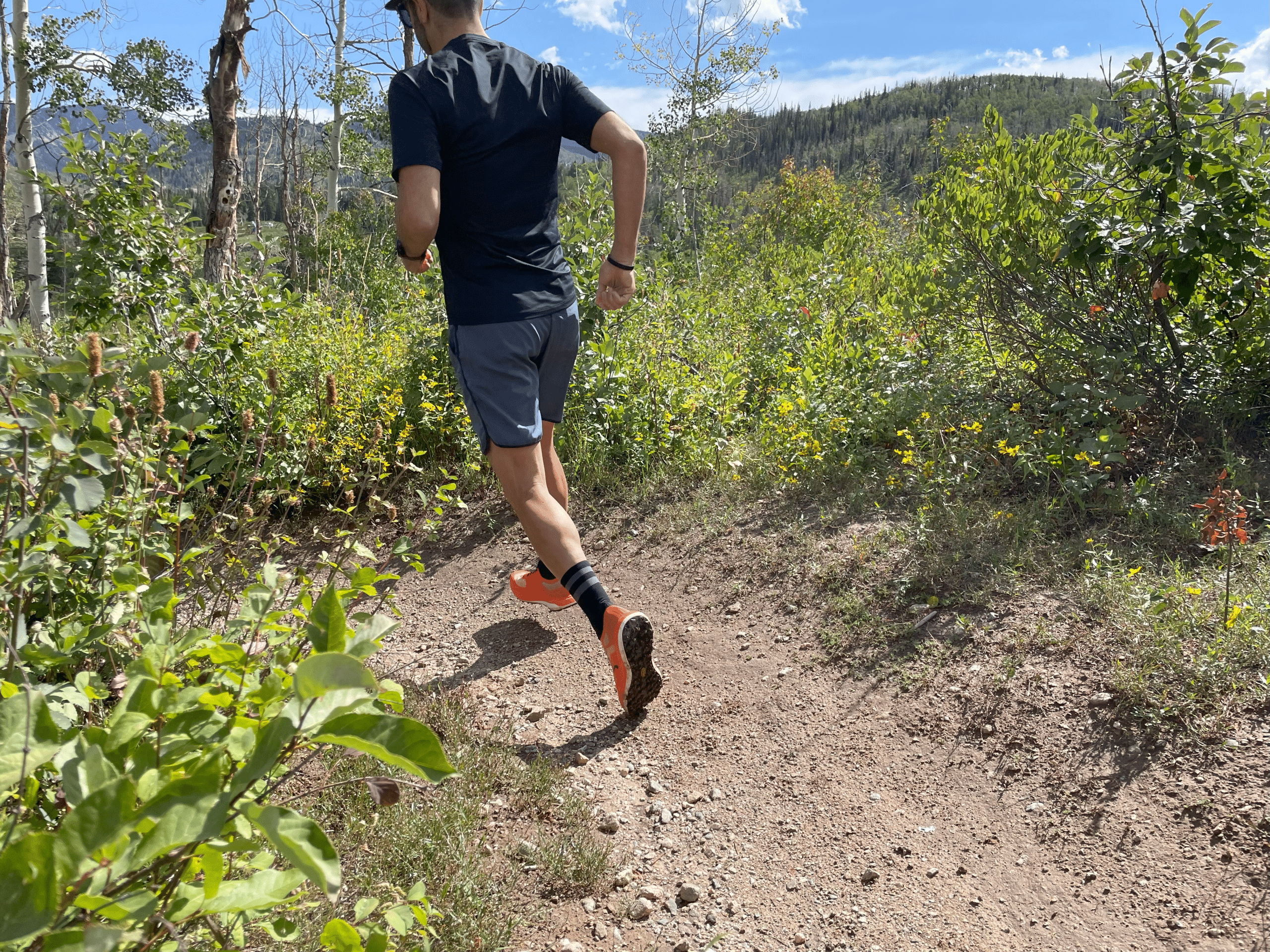 image of runner on trail with the arcteryx sylvan pro shoe